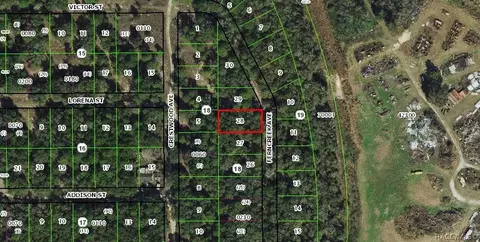 919 Ferncreek Ave, Inverness, FL 34453