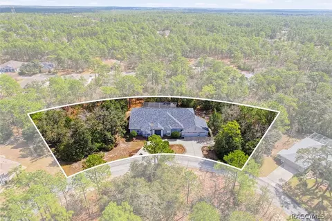 16 Drypetes Ct E, Homosassa, FL 34446