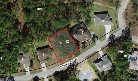8 Maidenbush Ct E, Homosassa, FL 34446