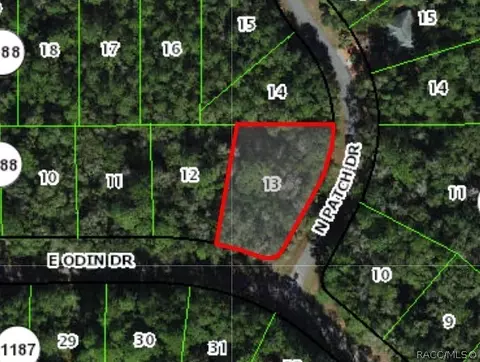 1173 E Odin Dr, Dunnellon, FL 34434