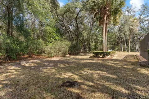 Exterior - 305 W Chase St, Hernando, FL 34442 photo 11 of 16