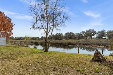 5951 N Tsala Apopka Dr, Hernando, FL 34442 photo 29