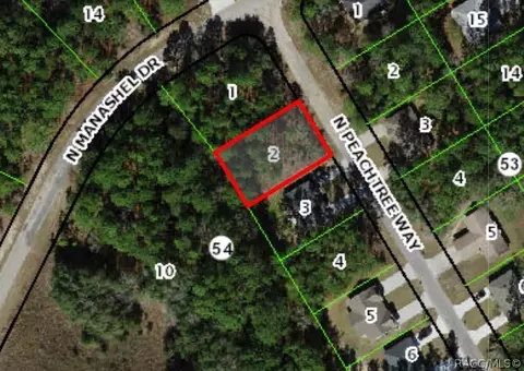 9390 N Peachtree Way, Citrus Springs, FL 34434