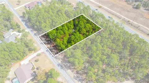 5100 N Red Ribbon Pt, Beverly Hills, FL 34465