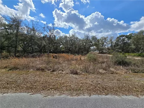 6436 Yam St, Webster, FL 33597 photo 4