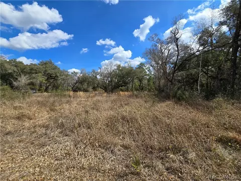 6436 Yam St, Webster, FL 33597 photo 11
