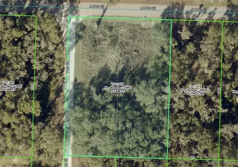 6436 Yam St, Webster, FL 33597 photo 14
