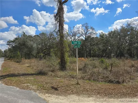 6436 Yam St, Webster, FL 33597 photo 3