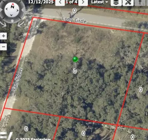 6436 Yam St, Webster, FL 33597 photo 13