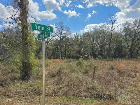 6436 Yam St, Webster, FL 33597 photo 2