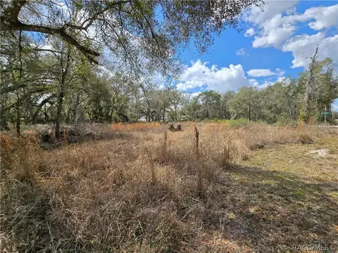 6436 Yam St, Webster, FL 33597 photo 7