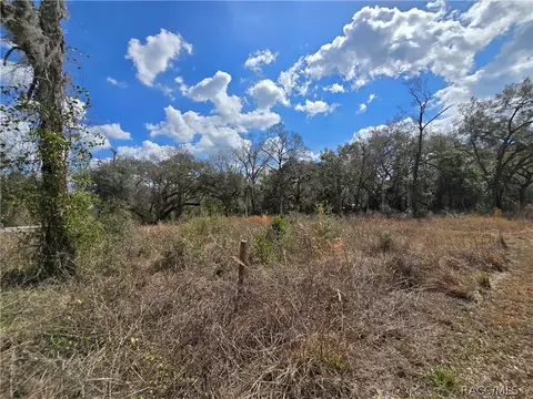 6436 Yam St, Webster, FL 33597 photo 8