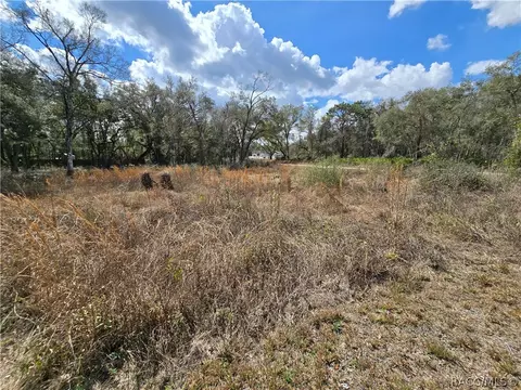 6436 Yam St, Webster, FL 33597 photo 5