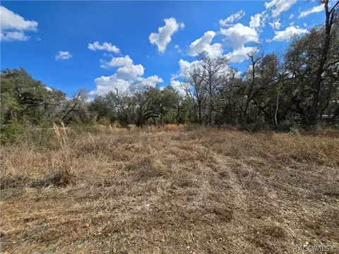 6436 Yam St, Webster, FL 33597 photo 10