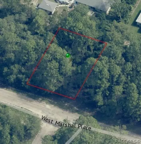 3495 W Marshal Pl, Dunnellon, FL 34433