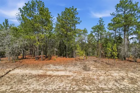 2855 W Gaucho Dr, Citrus Springs, FL 34433