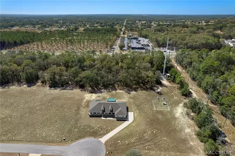 View/Area - 74 E Dusty Ct, Hernando, FL 34442 photo 2 of 7