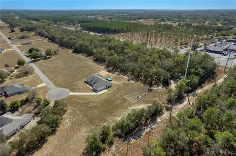 View/Area - 74 E Dusty Ct, Hernando, FL 34442 photo 5 of 7