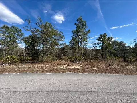 12 Smilax Ct S, Homosassa, FL 34446