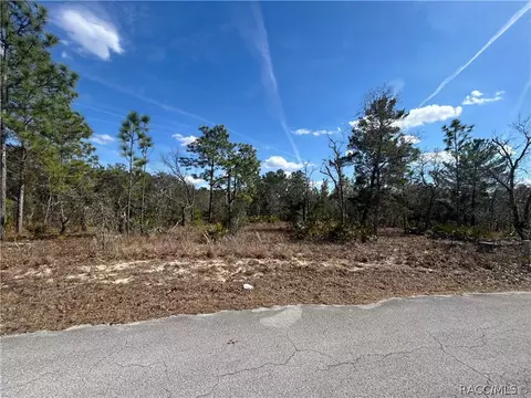14 Smilax Ct S, Homosassa, FL 34446