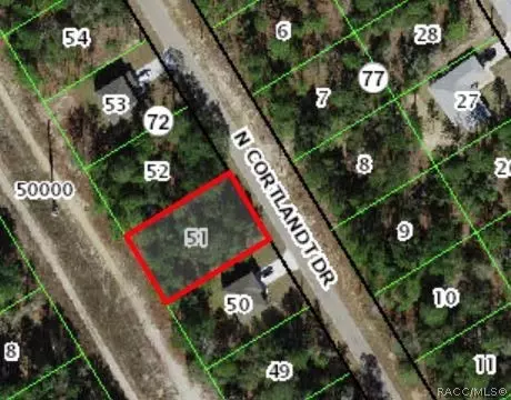 9292 N Cortlandt Dr, Citrus Springs, FL 34434