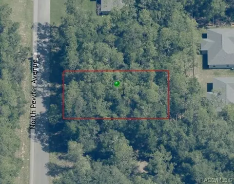 9831 N Pewter Ave, Dunnellon, FL 34434