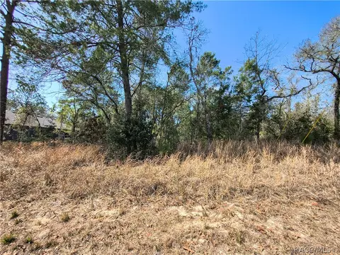 7140 N Ripley Dr, Dunnellon, FL 34433