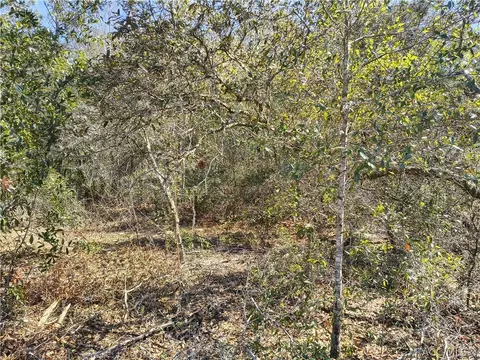 8867 N Citrus Springs Blvd, Citrus Springs, FL 34433
