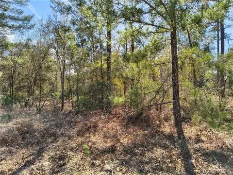 7340 N Veronica Dr, Dunnellon, FL 34433
