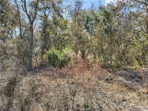 2918 W Redgate Dr, Dunnellon, FL 34433