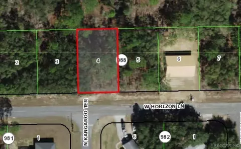 579 W Horizon Ln, Citrus Springs, FL 34434