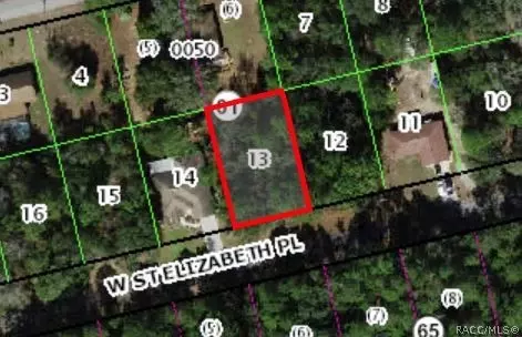 1391 W Saint Elizabeth Pl, Citrus Springs, FL 34434