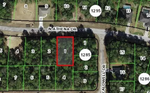 10040 N Athenia Dr, Citrus Springs, FL 34434