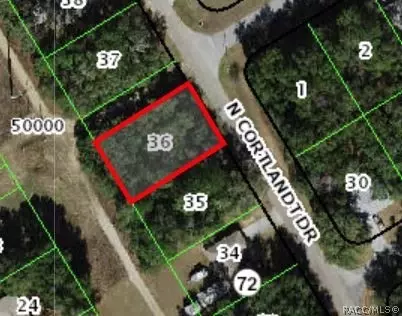 9094 N Cortlandt Dr, Citrus Springs, FL 34434