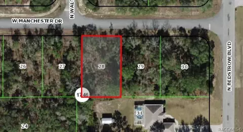 1196 W Manchester Dr, Dunnellon, FL 34434