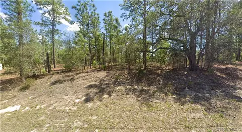 2551 W Sheila Dr, Citrus Springs, FL 34433