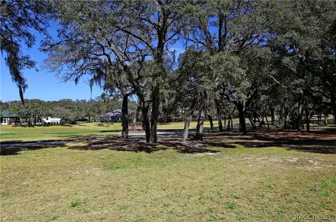 Exterior - 85 E Keller Ct, Hernando, FL 34442 photo 10 of 11