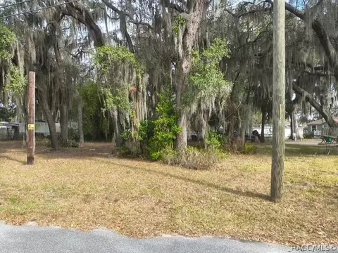 4734 N Apache Trl, Hernando, FL 34442 photo 5