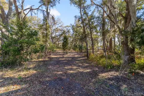 Other - 6310 N Keel Dr, Hernando, FL 34442 photo 19 of 23