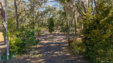 Other - 6310 N Keel Dr, Hernando, FL 34442 photo 2 of 23