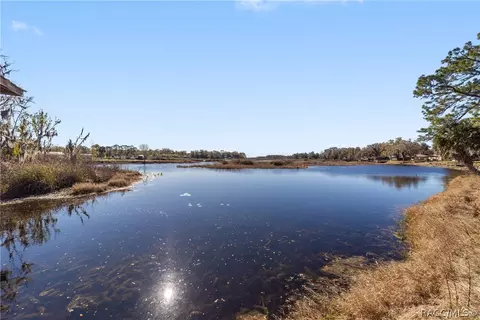 View/Area - 6310 N Keel Dr, Hernando, FL 34442 photo 5 of 21