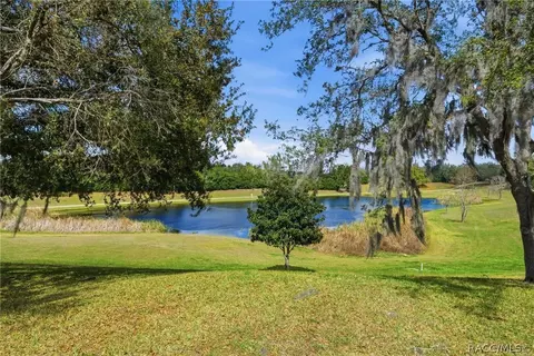 1251 W Skyview Crossing Dr, Hernando, FL 34442 photo 30
