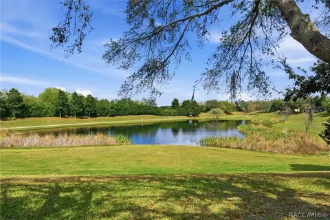 1251 W Skyview Crossing Dr, Hernando, FL 34442 photo 5