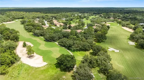 2598 N Troon Path, Lecanto, FL 34461 photo 16