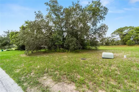 2598 N Troon Path, Lecanto, FL 34461 photo 9