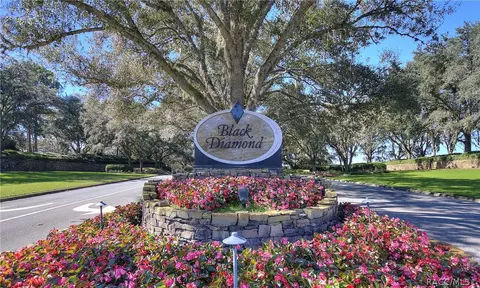 2598 N Troon Path, Lecanto, FL 34461 photo 23