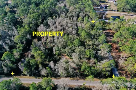 9485 N Beechtree Way, Crystal River, FL 34428 photo 3