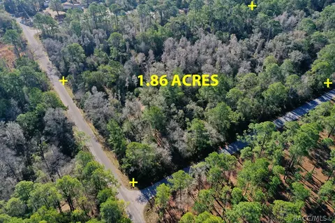9485 N Beechtree Way, Crystal River, FL 34428 photo 2