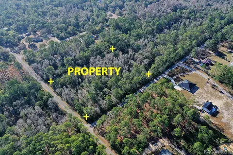 9485 N Beechtree Way, Crystal River, FL 34428 photo 5