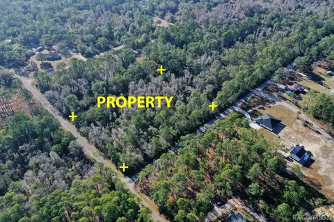 9485 N Beechtree Way, Crystal River, FL 34428 photo 5